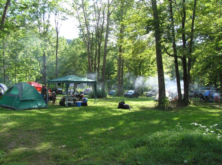 Rates Soaring Eagle Campground