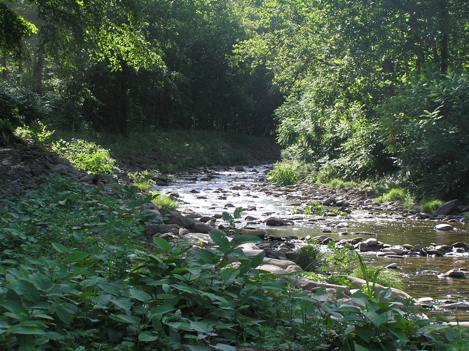 Soaring Eagle Campground & The Inn at Kellam's Bridge — photo 5