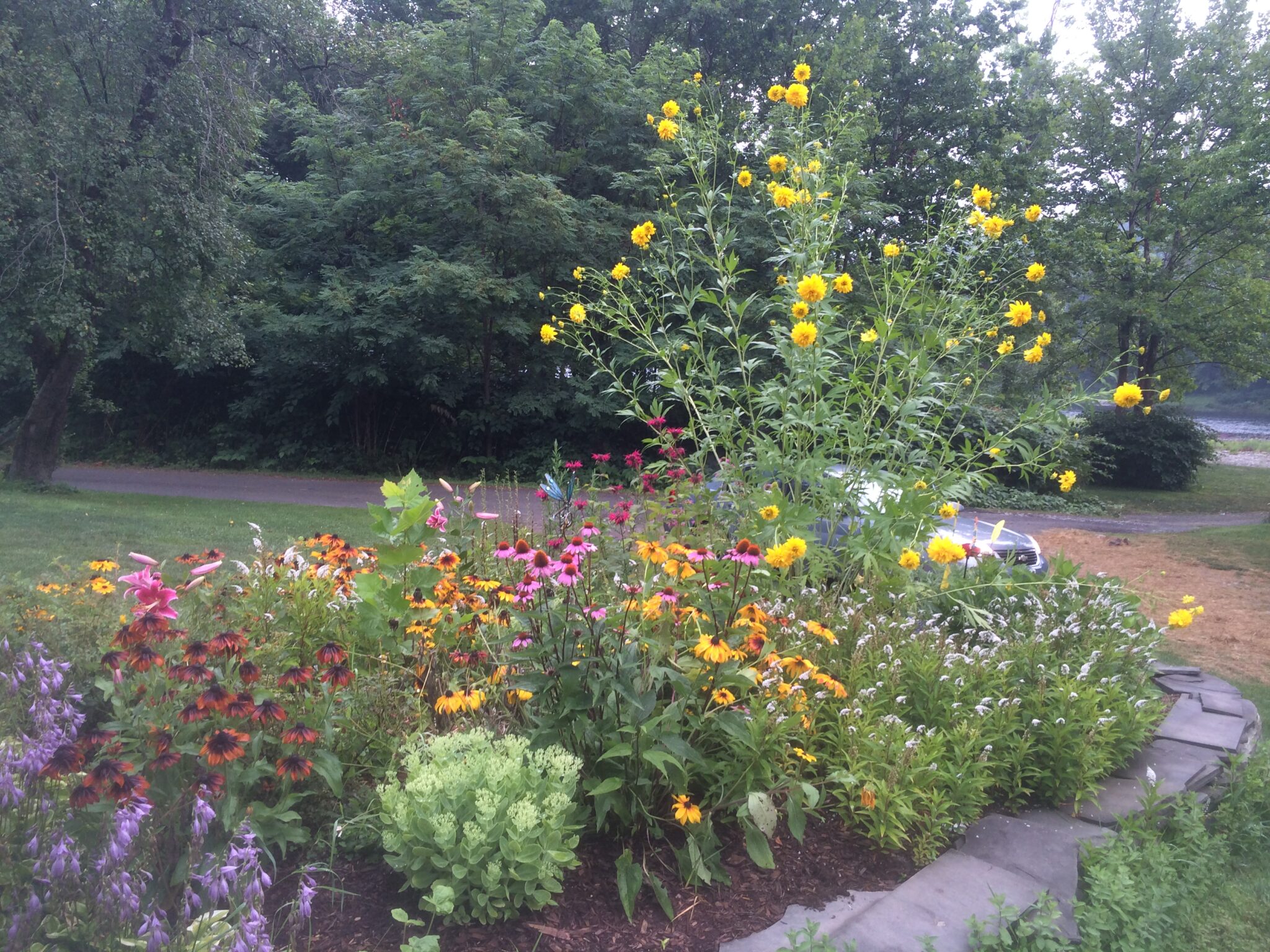 Facilities & Attractions Soaring Eagle Campground